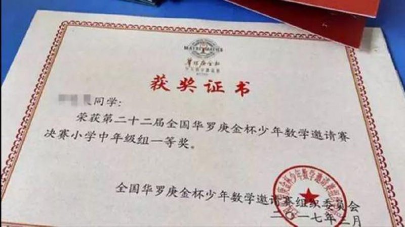 西乡塘区培训学校：教育之光在知识的田野上闪耀